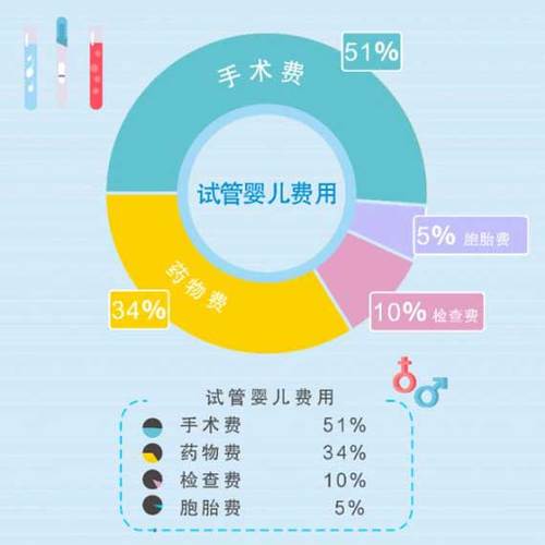 供卵试管代怀费-供卵试管代怀费：解读费用构成及节约技巧