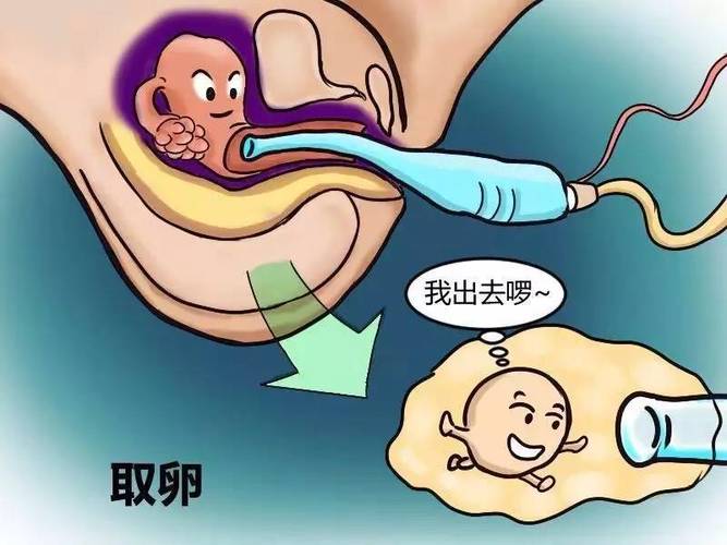 供卵试管代怀方式有哪些(供卵试管代怀方式解析)