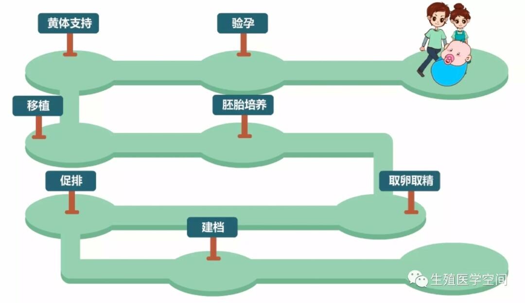 供卵一般做的几代试管_几代供卵试管技术的突破与应用